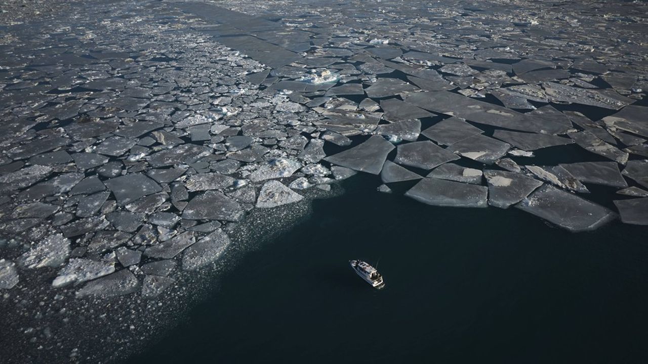 Photo Gallery Greenland Election